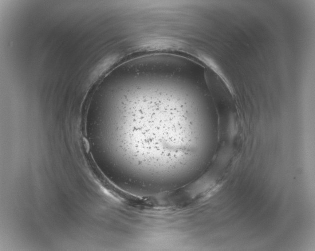 X0000061760485200512161747