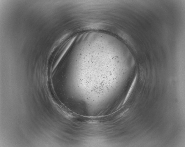 X0000061760486200512161747