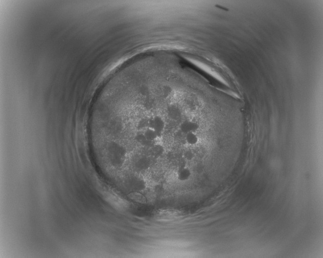 X0000061760487200512161747