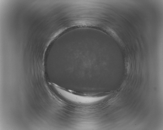 X0000061760488200512161747