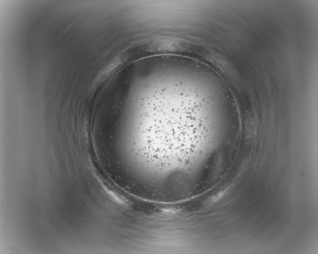 X0000061760489200512161747