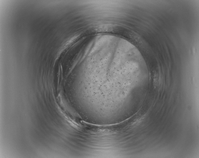 X0000061760490200512161747