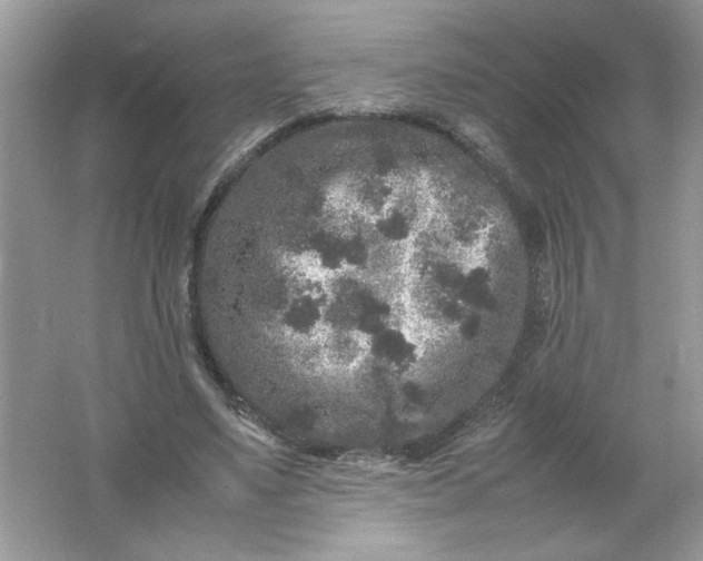 X0000061760491200512161747