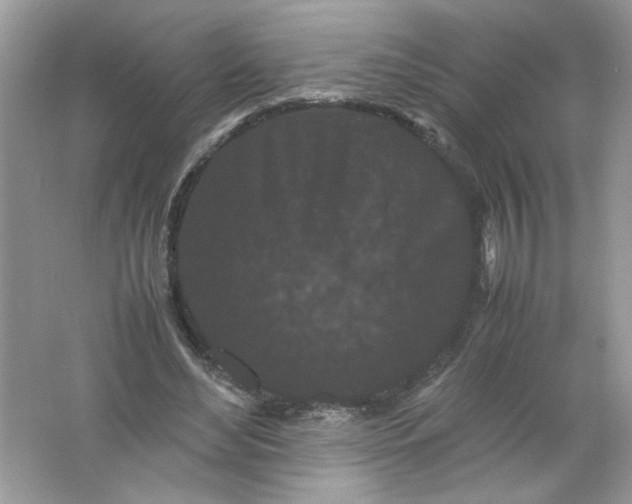 X0000061760492200512161747