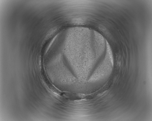 X0000061760494200512161747