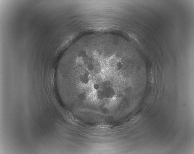 X0000061760495200512161747