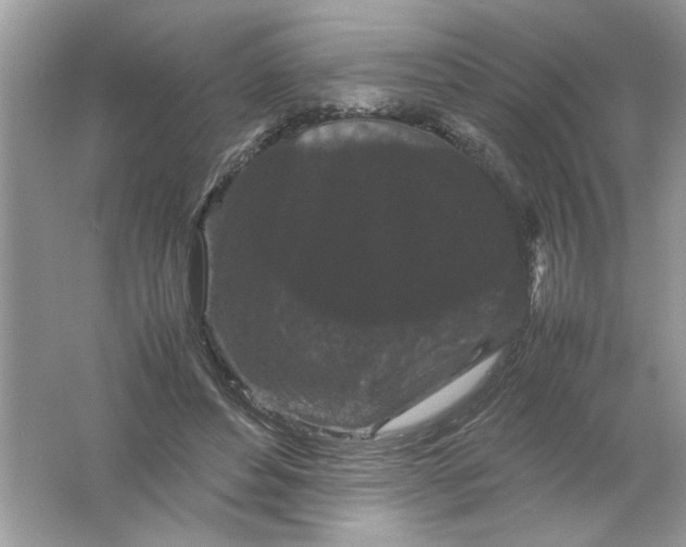 X0000061760496200512161747