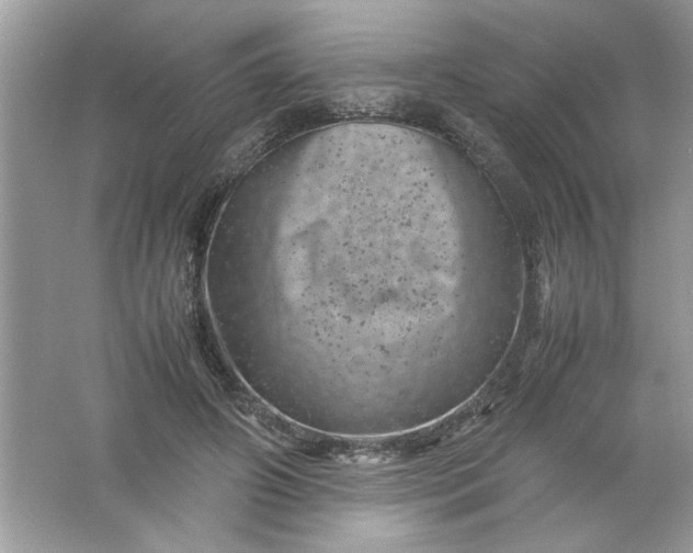 X0000061760498200512161747