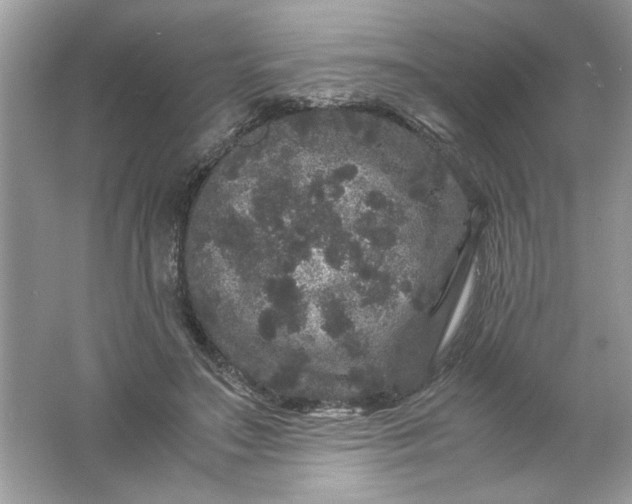 X0000061760499200512161747