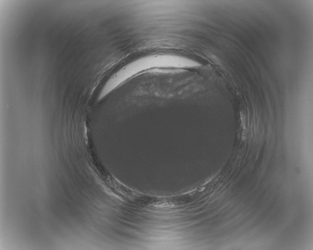 X0000061760500200512161747