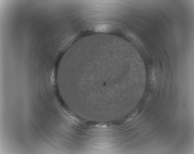 X0000061760502200512161747