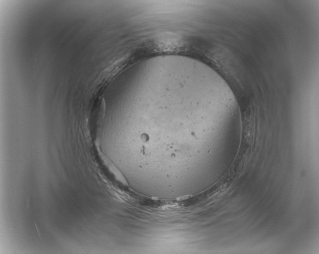 X0000061760505200512161747