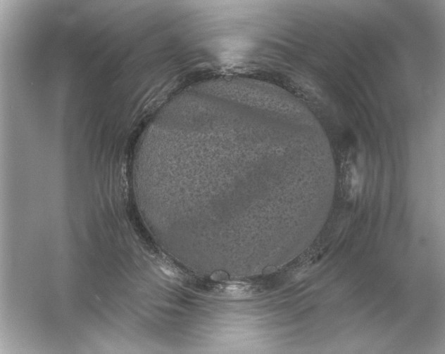 X0000061760506200512161747