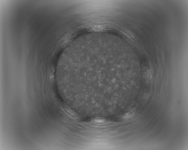 X0000061760507200512161747