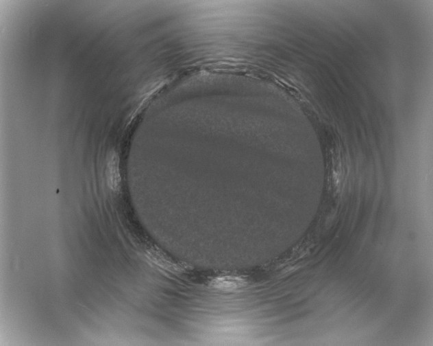 X0000061760508200512161747