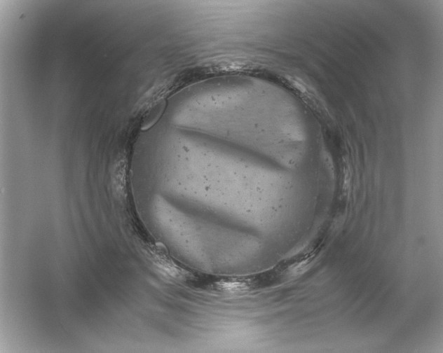 X0000061760509200512161747