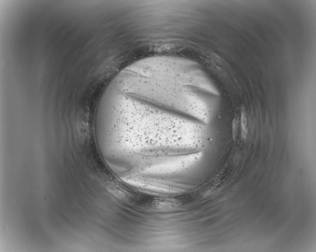 X0000061760510200512161747