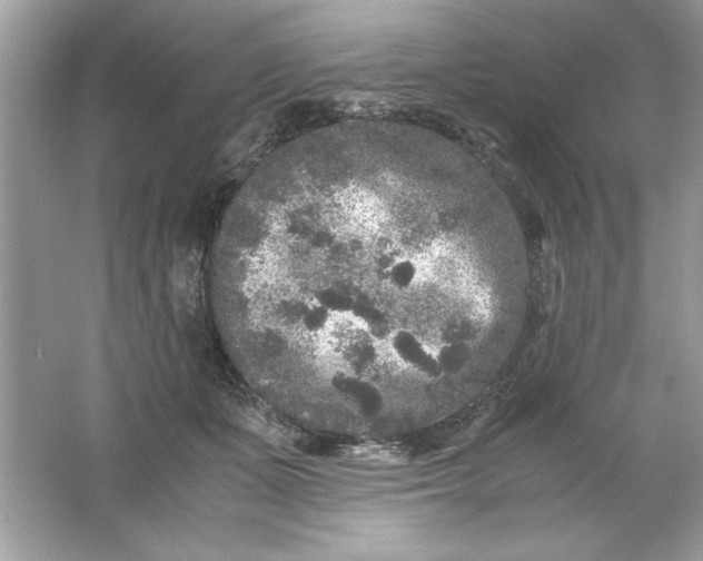 X0000061760511200512161747