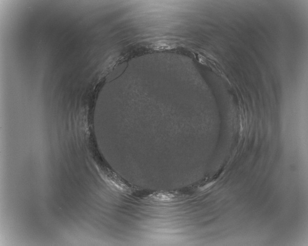 X0000061760512200512161747