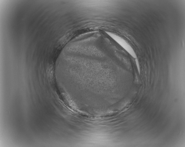 X0000061760513200512161747