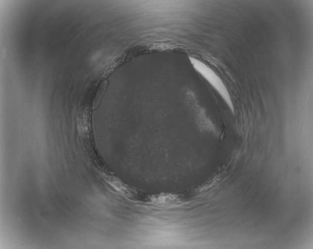 X0000061760517200512161747