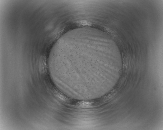 X0000061760518200512161747