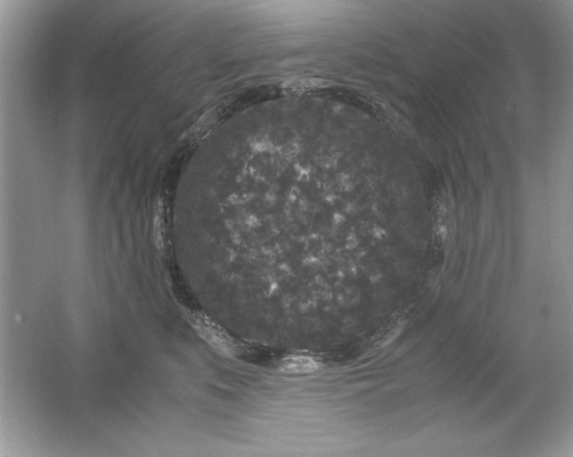 X0000061760519200512161747