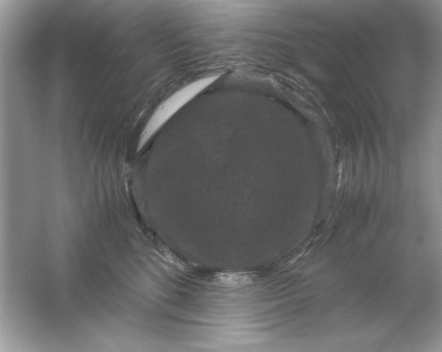 X0000061760520200512161747