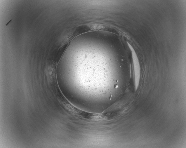 X0000061760521200512161747