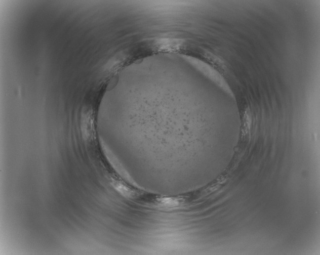 X0000061760522200512161747