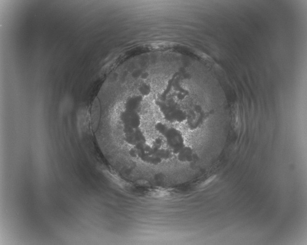 X0000061760523200512161747