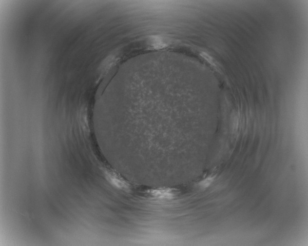 X0000061760524200512161747