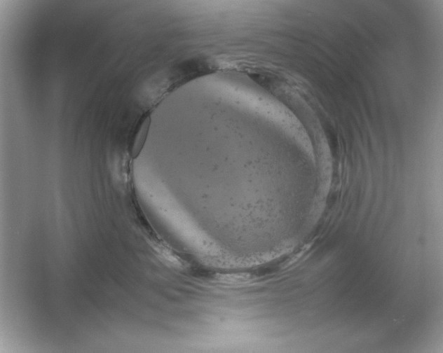 X0000061760525200512161747