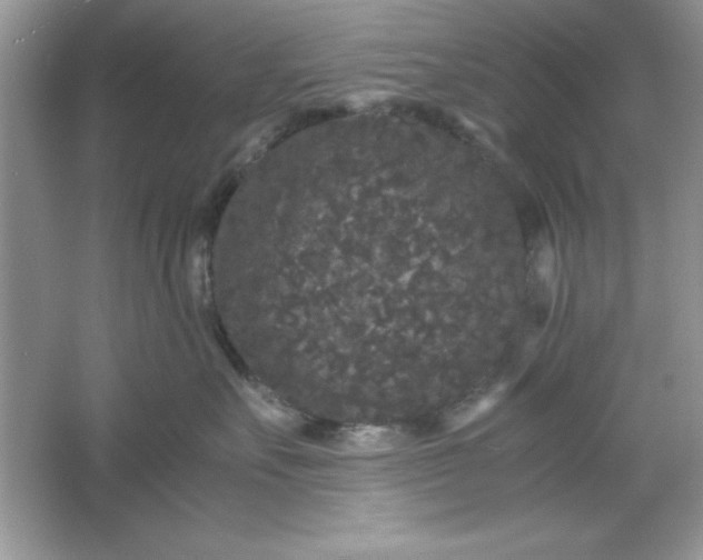 X0000061760527200512161747