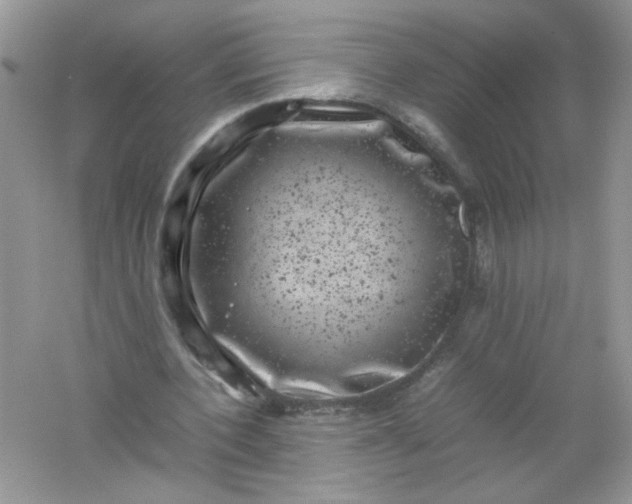 X0000061760532200512161746