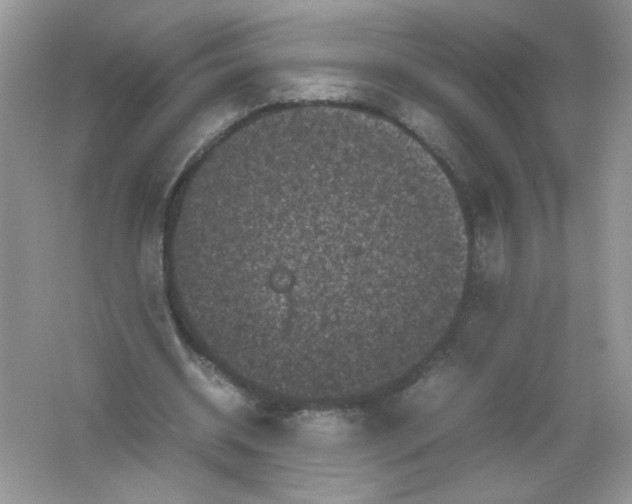 X0000061760534200512161746