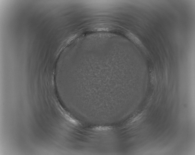 X0000061760537200512161746