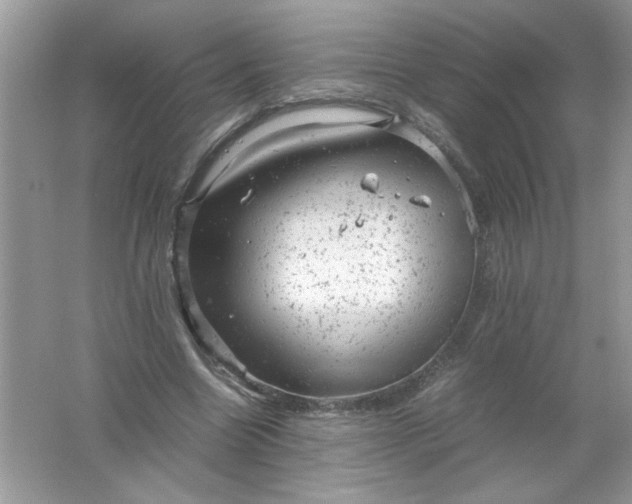 X0000061760538200512161746