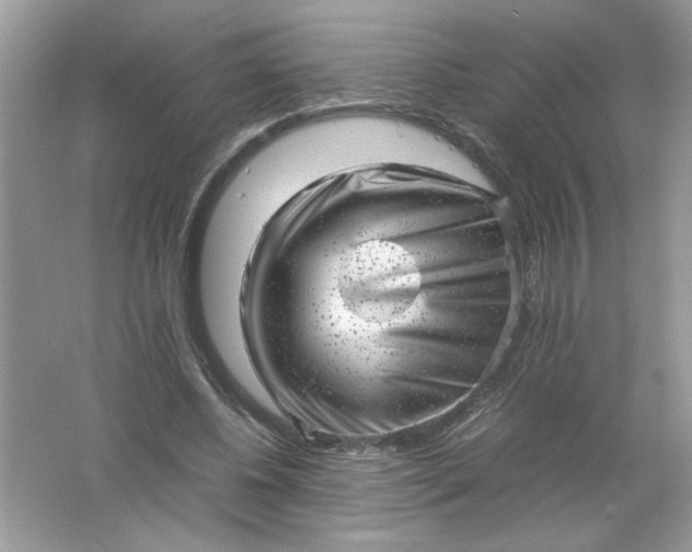 X0000061760540200512161746