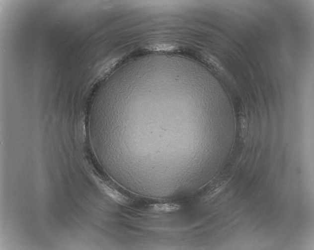 X0000061760541200512161746