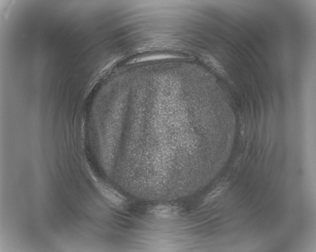 X0000061760542200512161746