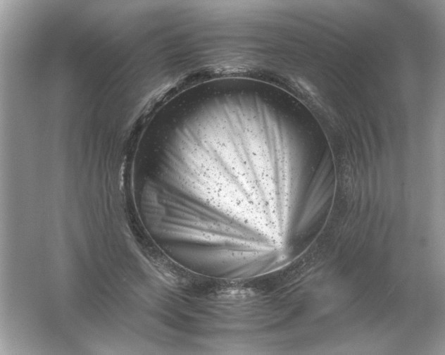 X0000061760543200512161746