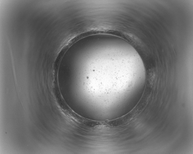 X0000061760544200512161746