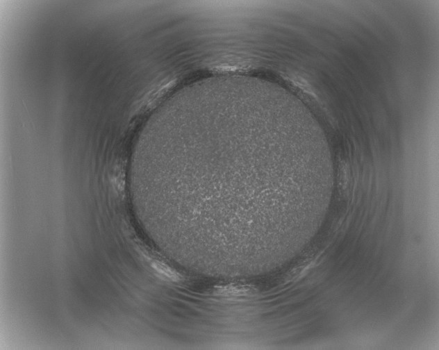 X0000061760545200512161746