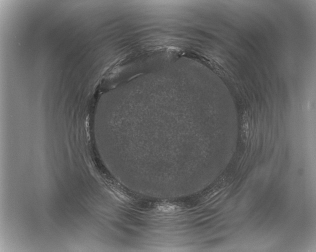 X0000061760547200512161746