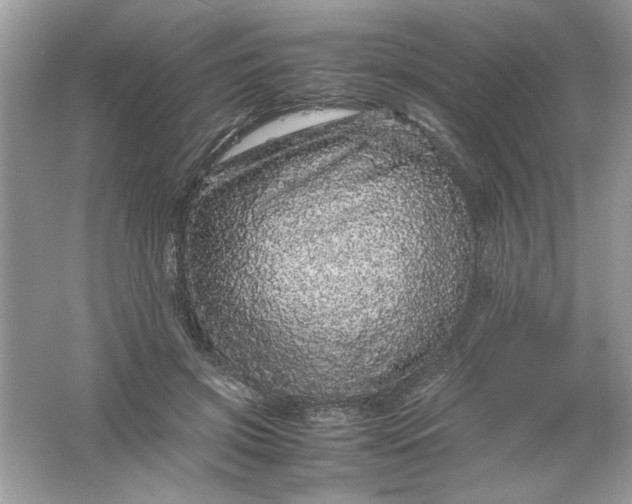 X0000061760549200512161746