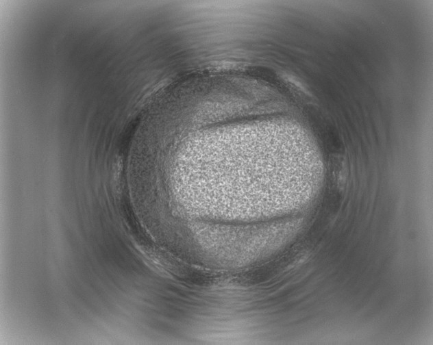 X0000061760550200512161746