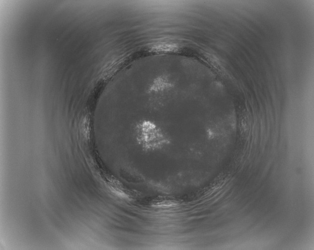 X0000061760551200512161746