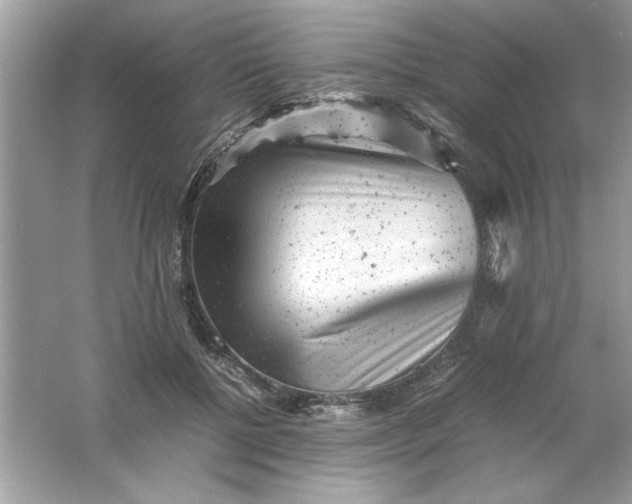 X0000061760552200512161746