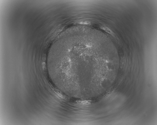 X0000061760553200512161746